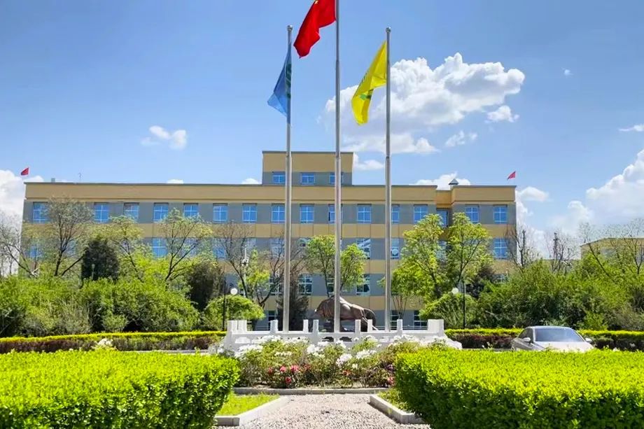 918.com(�й���)�ٷ���վ