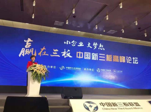 节能环保能源明星企业南宫电子游戏参与中国新三板峰论坛