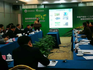 南宫电子游戏总裁王元圆在征询会上进行代表性项目咨演