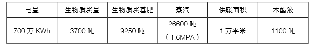 南宫电子游戏生物质多联产的产出 南宫电子游戏生物质多联产的产出