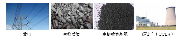 南宫电子游戏可提供气化发电系统 成套设备的整体规划以及碳资产开发服务 南宫电子游戏可提供气化发电系统 成套设备的整体规划以及碳资产开发服务